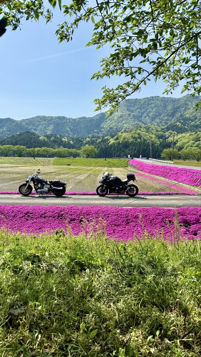 FXDF_FATBOB_BOB's tweet image. 皆さま
いつも有難うございます
🙇🐶🐶
また、春夏秋冬
共に走って頂いた方々
有難うございました🙇🏍️

辛い悲しい思いを
された方々も
来年は笑顔溢れる良い年に
なりますよう願っています🙏😊