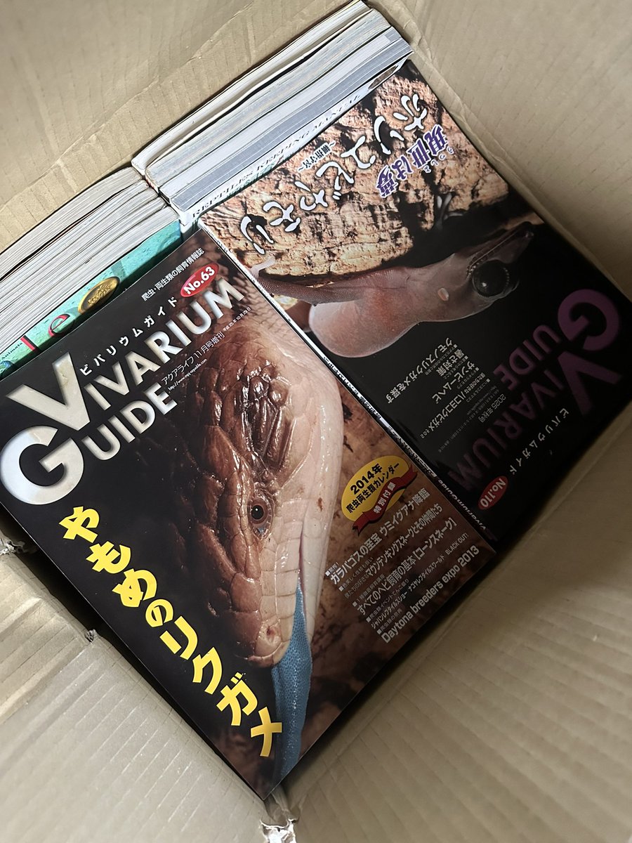 AILEEN@あいりん（21） (@Eileen122map) / Posts / X