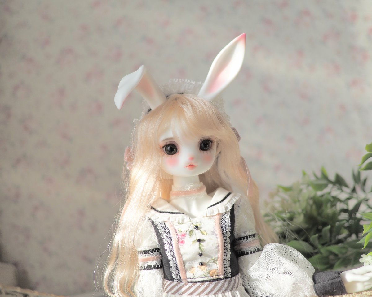 おはようございます。今日は何しようかな。