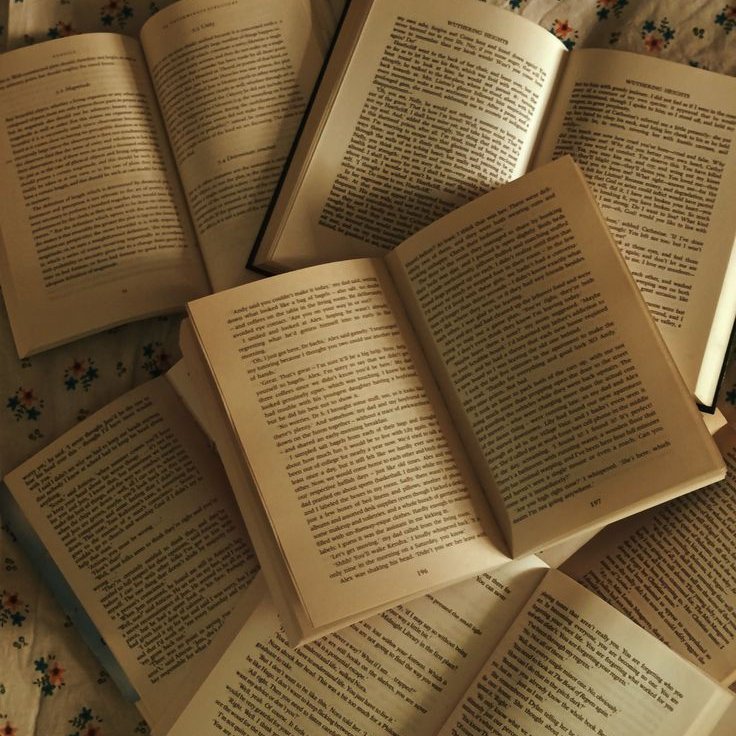 lyn⋆ | 📖 Coroa da Meia - Noite tweet media