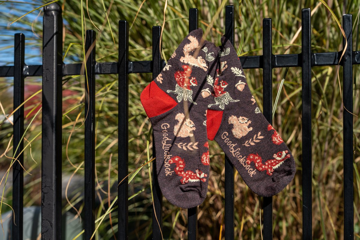 GoodLuckSock's tweet photo. You'll go nuts over this design
Available at https://t.co/KqZEVht4lq
#squirreldesign #squirrelsocks #nutssocks https://t.co/QR6lx4EsRH