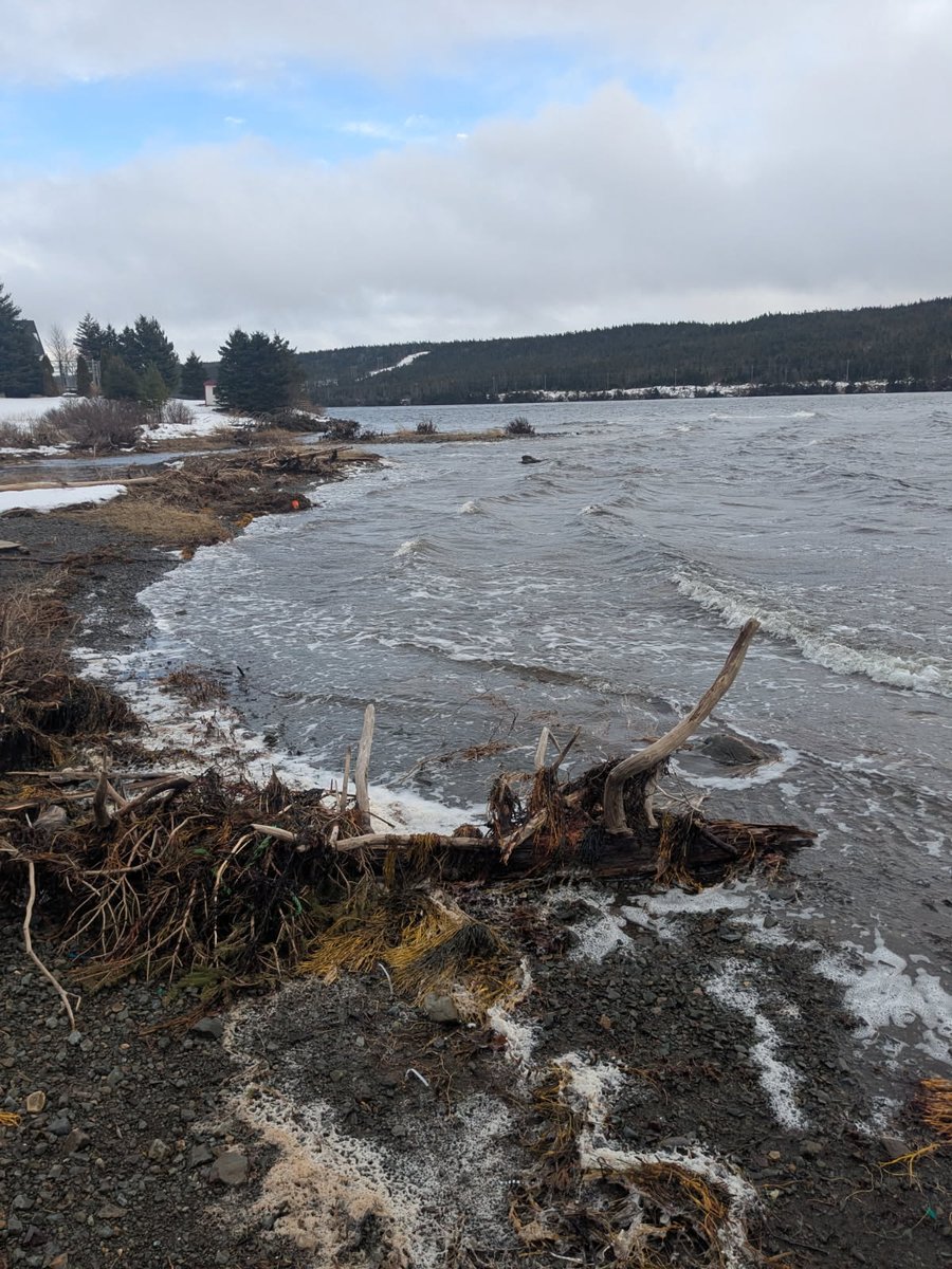 Chilly walk along the shore, Dec 2025
