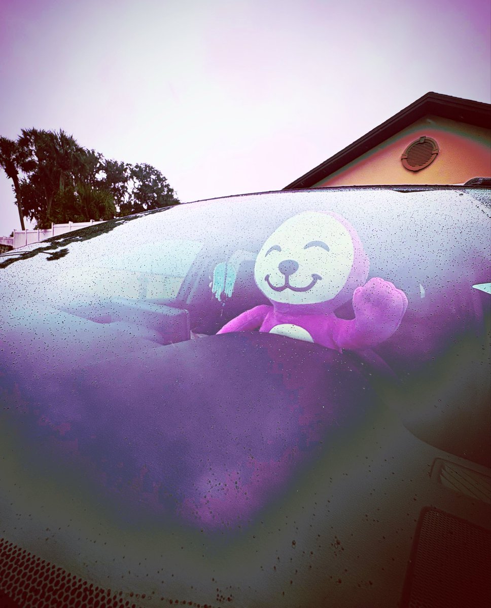 Proton Pandas ⚛️🐼 tweet media