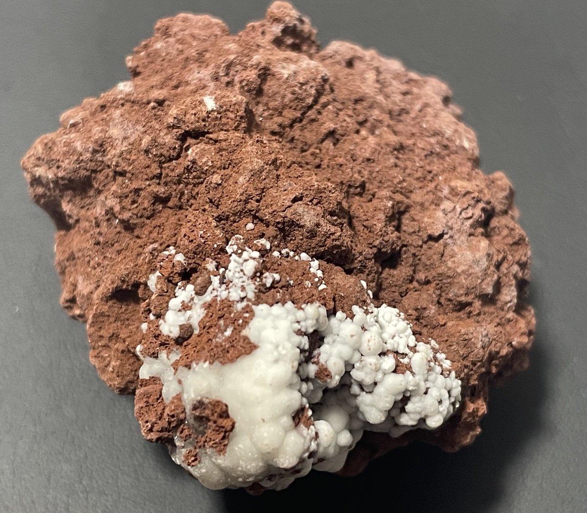 stellar_chaton's tweet image. TL標本のクリストバル石
火成岩上に球状集合を成して結晶しています。
店主さんがポリモルフ(同質異像)だと一生懸命に説明してくれて、「Yes」としか言えませんでしたが普通に「Thank you, I know」とかで良かった気がする。