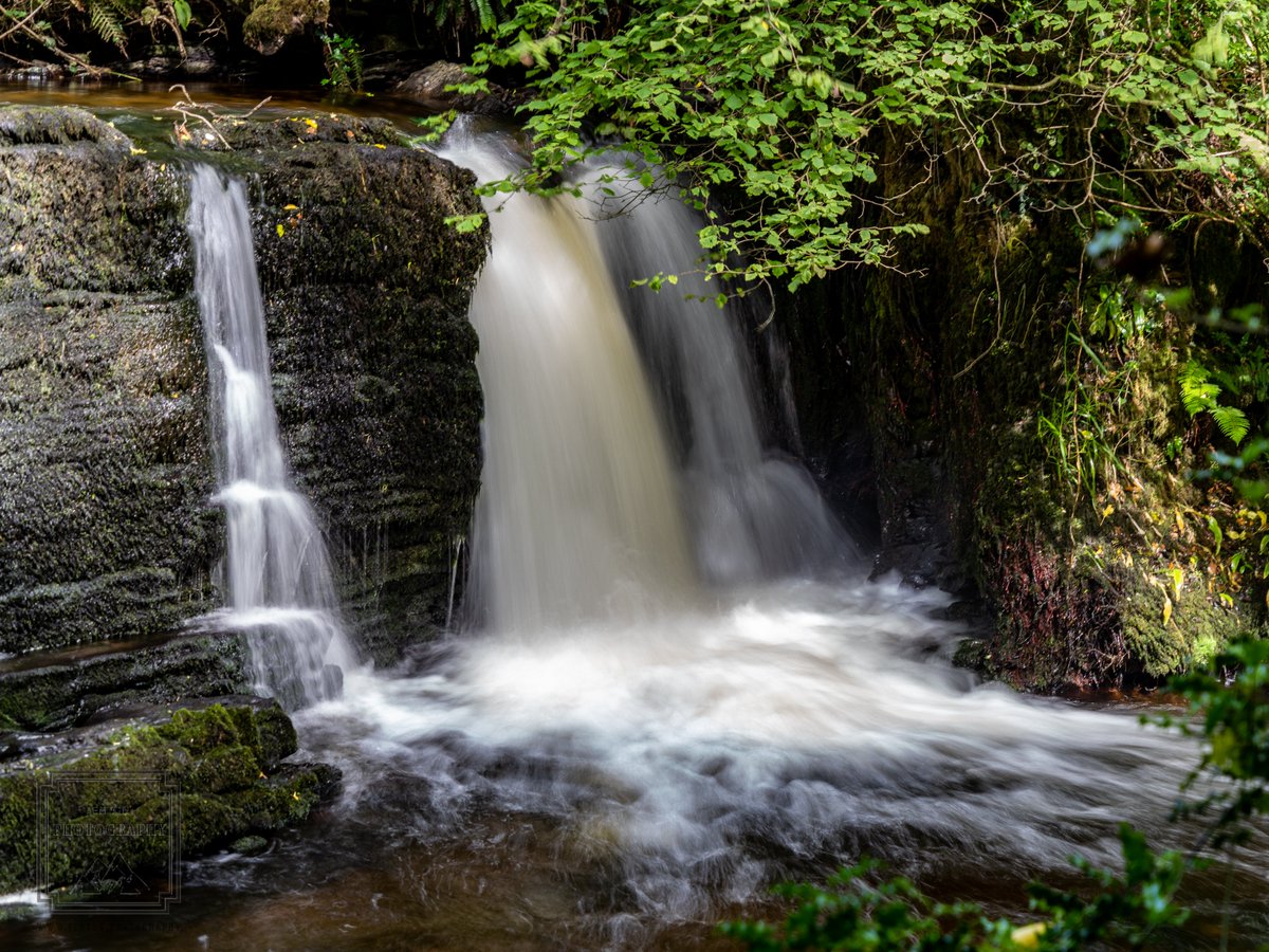 FentonPhoto's tweet photo. Water from the Glenaniff River cascading over Fowley's Falls. #water #waterfall #chasingwaterfalls #waterfallsoftheworld #waterfallsofIreland #longexposure #nature #trees #rocks #Ireland #river #vacation #photography #travel @travelireland @NatGeoTravel @leitrimtourism https://t.co/oHKilhNdF1