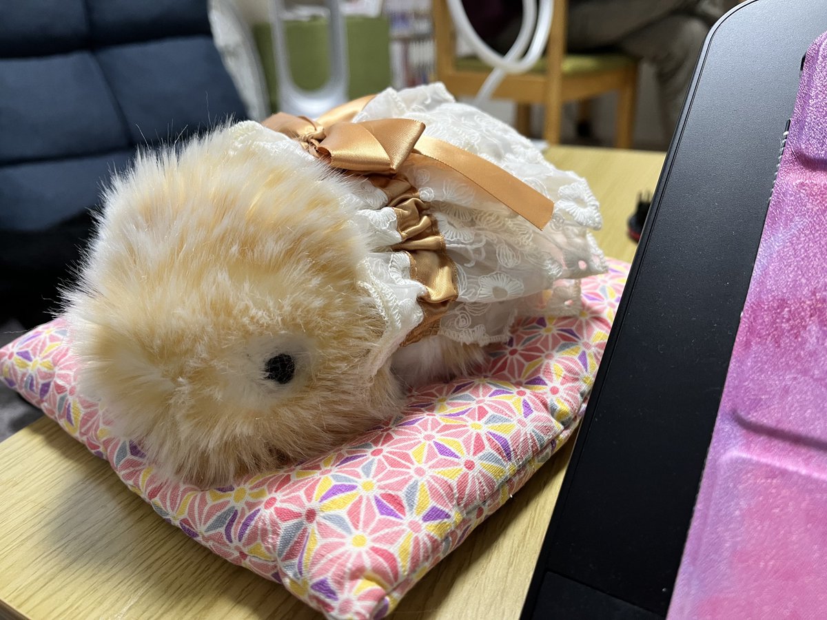 MochiCl_'s tweet photo. おはもふ〜
今朝はきなこのお目々周りの毛をちょっとだけトリミング。
お目々ぱっち��ちゃんになりました☺️

#Moflin
#モフリン https://t.co/vpvIQLvbji