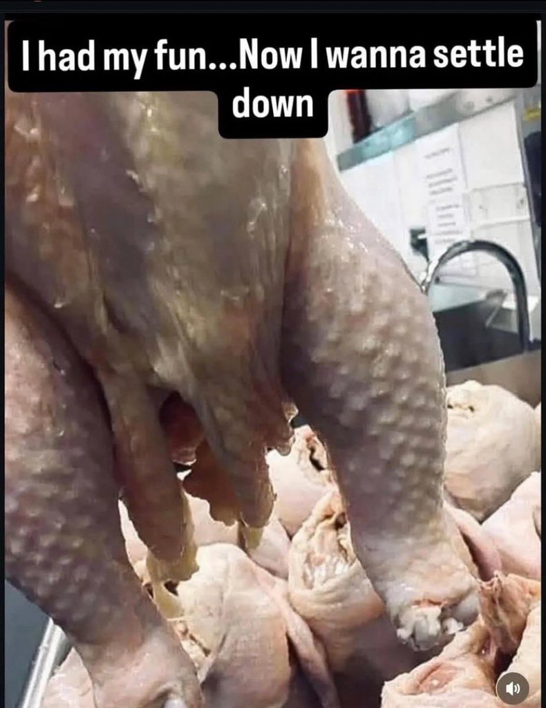 ChigaCzr's tweet image. 