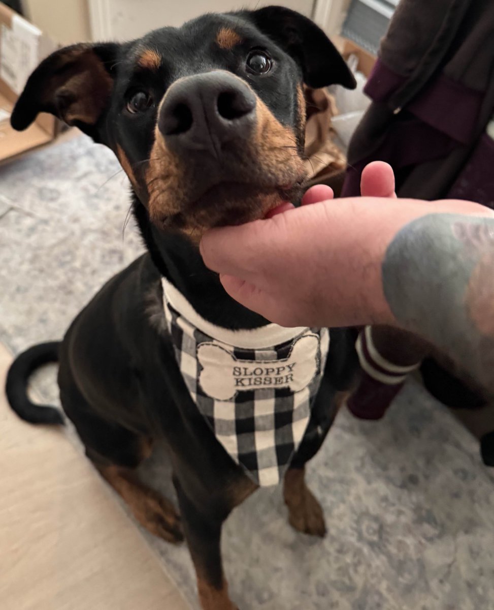 Mark Kelada tweet media