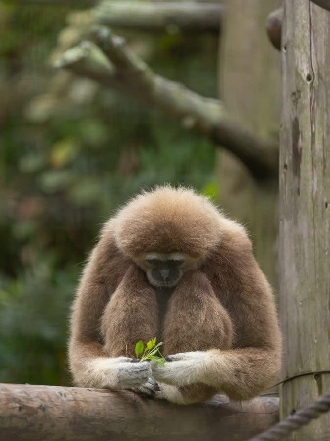 eat5G's tweet image. 