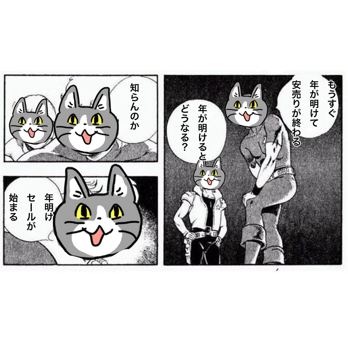 現場猫