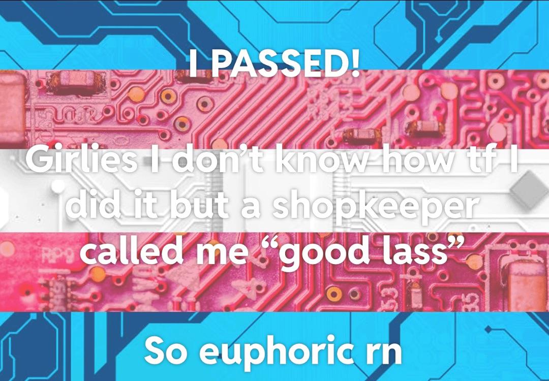 Egg_irl_bot's tweet image. Egg😁irl #Transfem Meme redd.it/1pywfy5