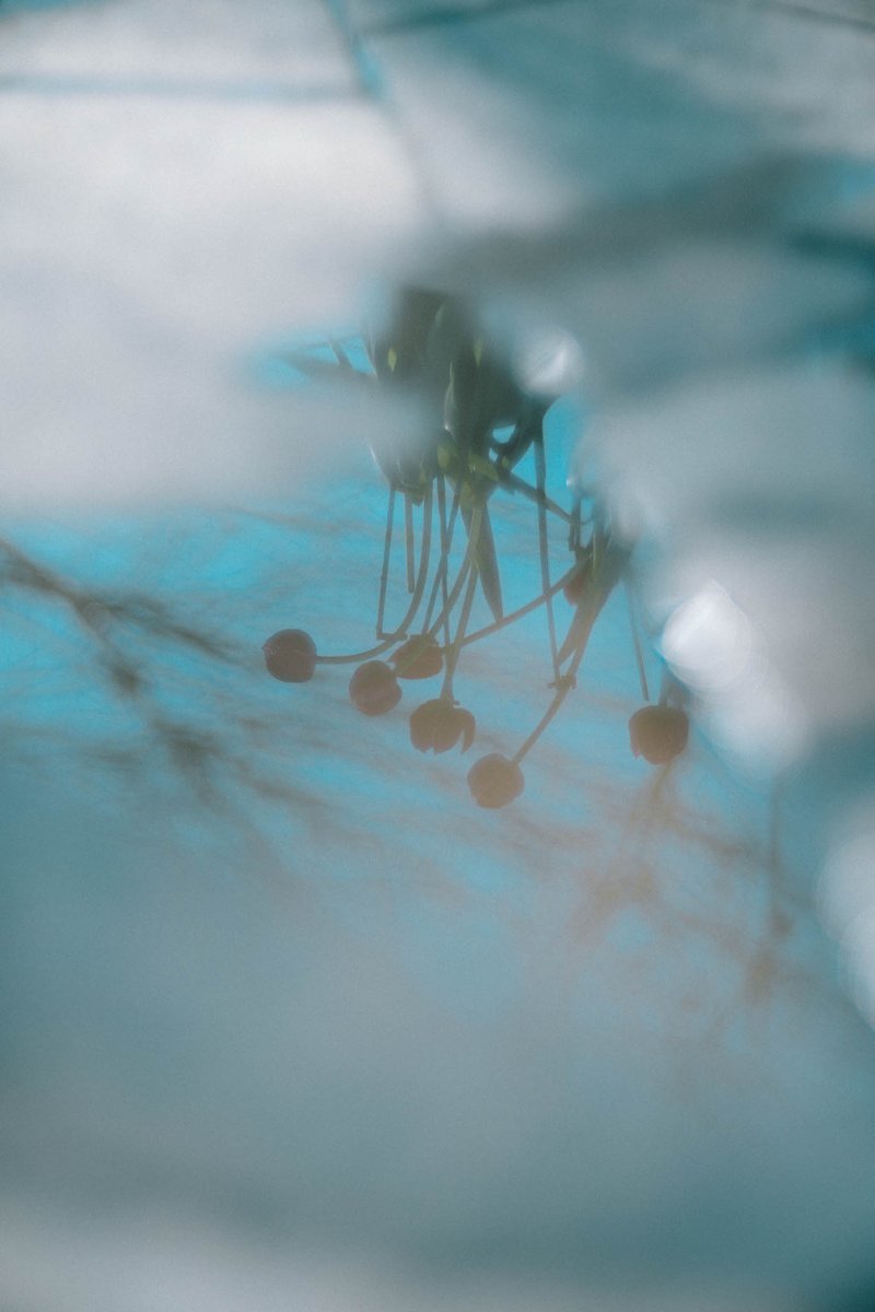 yakata (@yakatagirl) on Twitter photo 