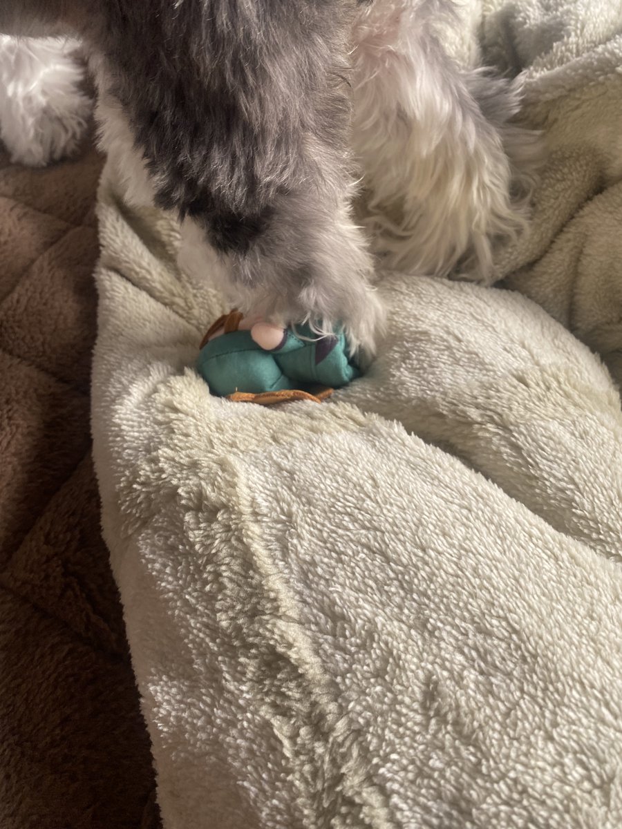 Hey✧pooo---さま♡♡専用 ✧• ───── ✾ ───── •✧ ┆͓̽ ┊︎ ┆͓̽ ┊︎ ┆͓̽ #Amilige