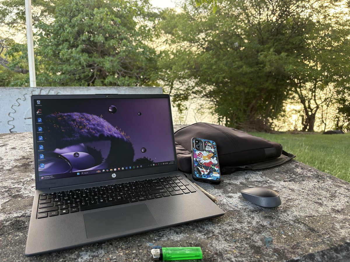 Jola | Beach Bingo tweet media