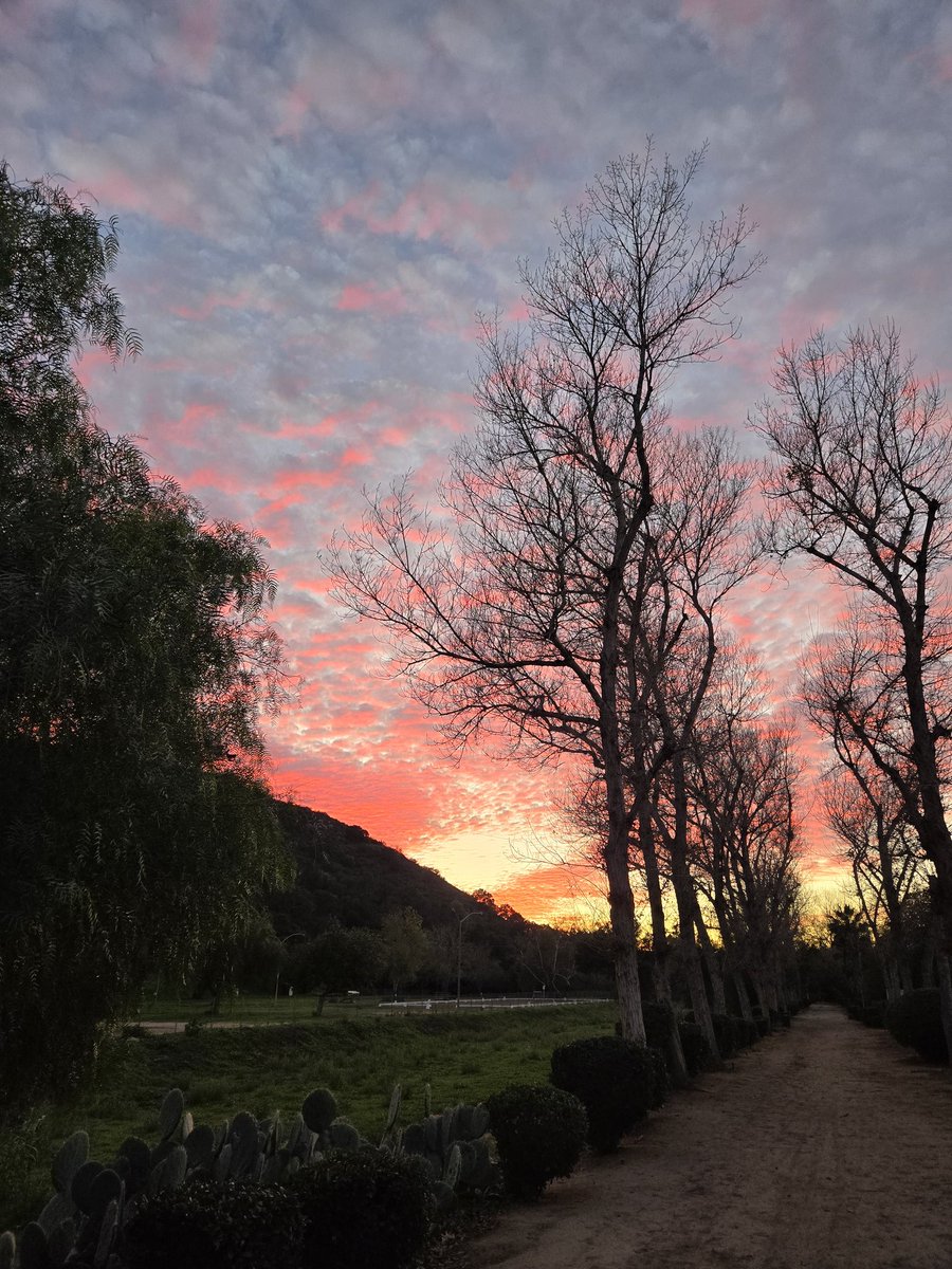 rmourpoppop's tweet image. Sunset in #poway