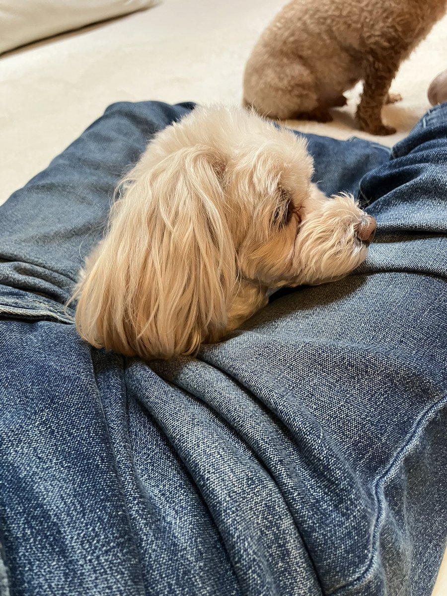 しょうちゃんofficial (@Sho0801) / Posts / X