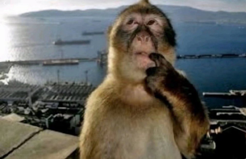 mozassi's tweet image. sera que é mt estranho a pessoa ir dormir no quarto dela na casa que mora apenas ela o pai e a avó e acordar com a irmã que não mora ali sentada no pc dela jogando the sims