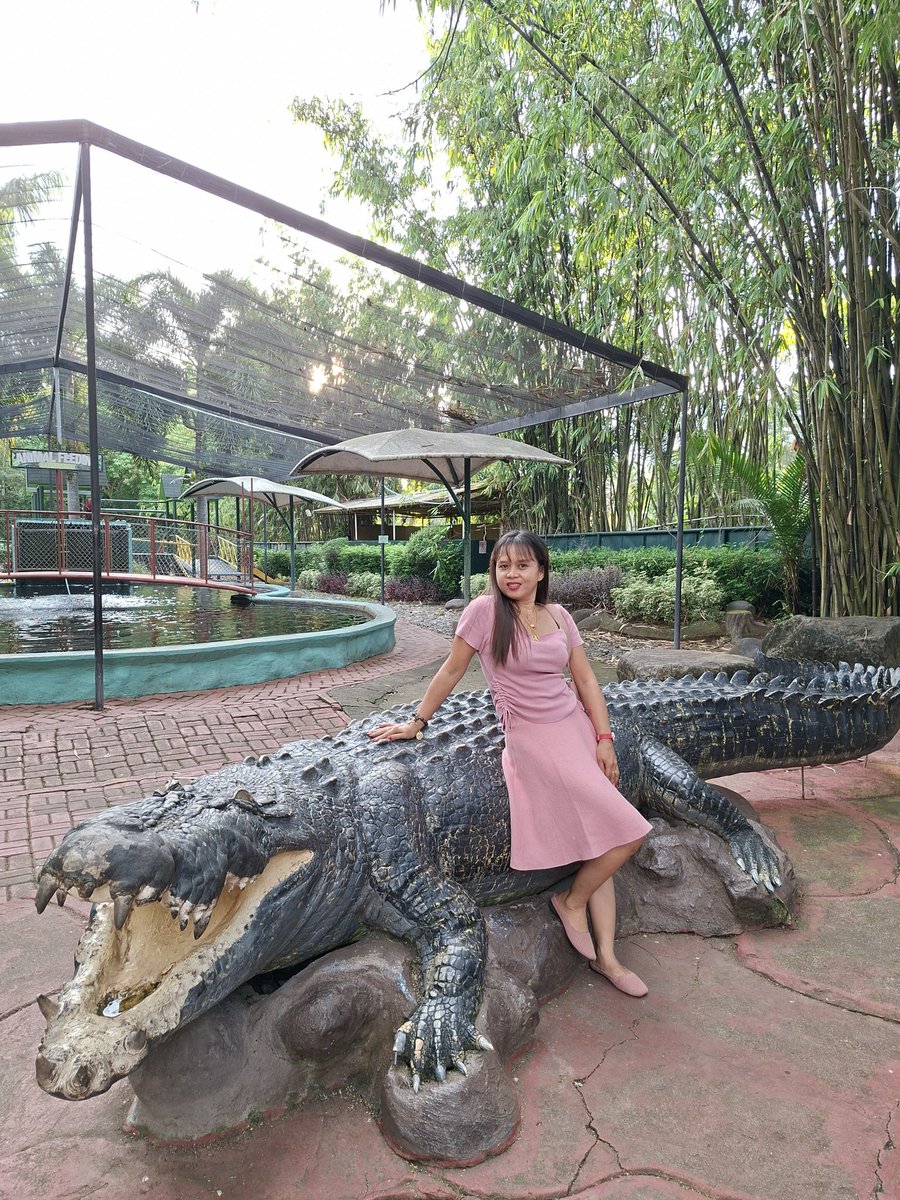 star91484's tweet photo. really like zoo🤗 https://t.co/8CqJ2q1BGi