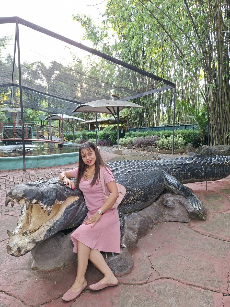 star91484's tweet photo. really like zoo🤗 https://t.co/8CqJ2q1BGi