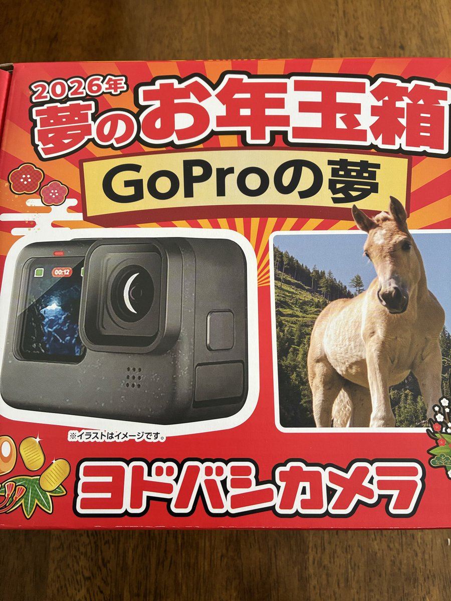 47wk23's tweet photo. ヨドバシのお年玉箱、届いた！
#ヨドバシカメラ
#2026お年玉箱
#GoPro https://t.co/rdXyz6zviD