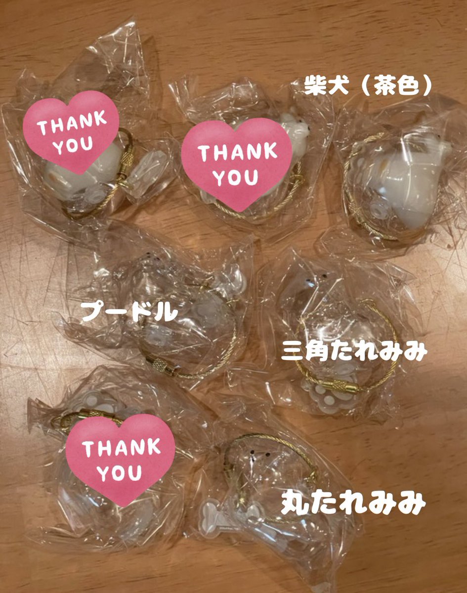 わんこ🐾 tweet media