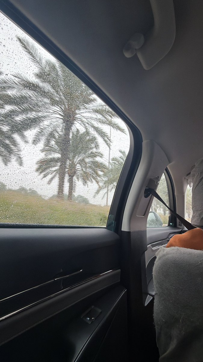 Noura (@xile1i) on Twitter photo 