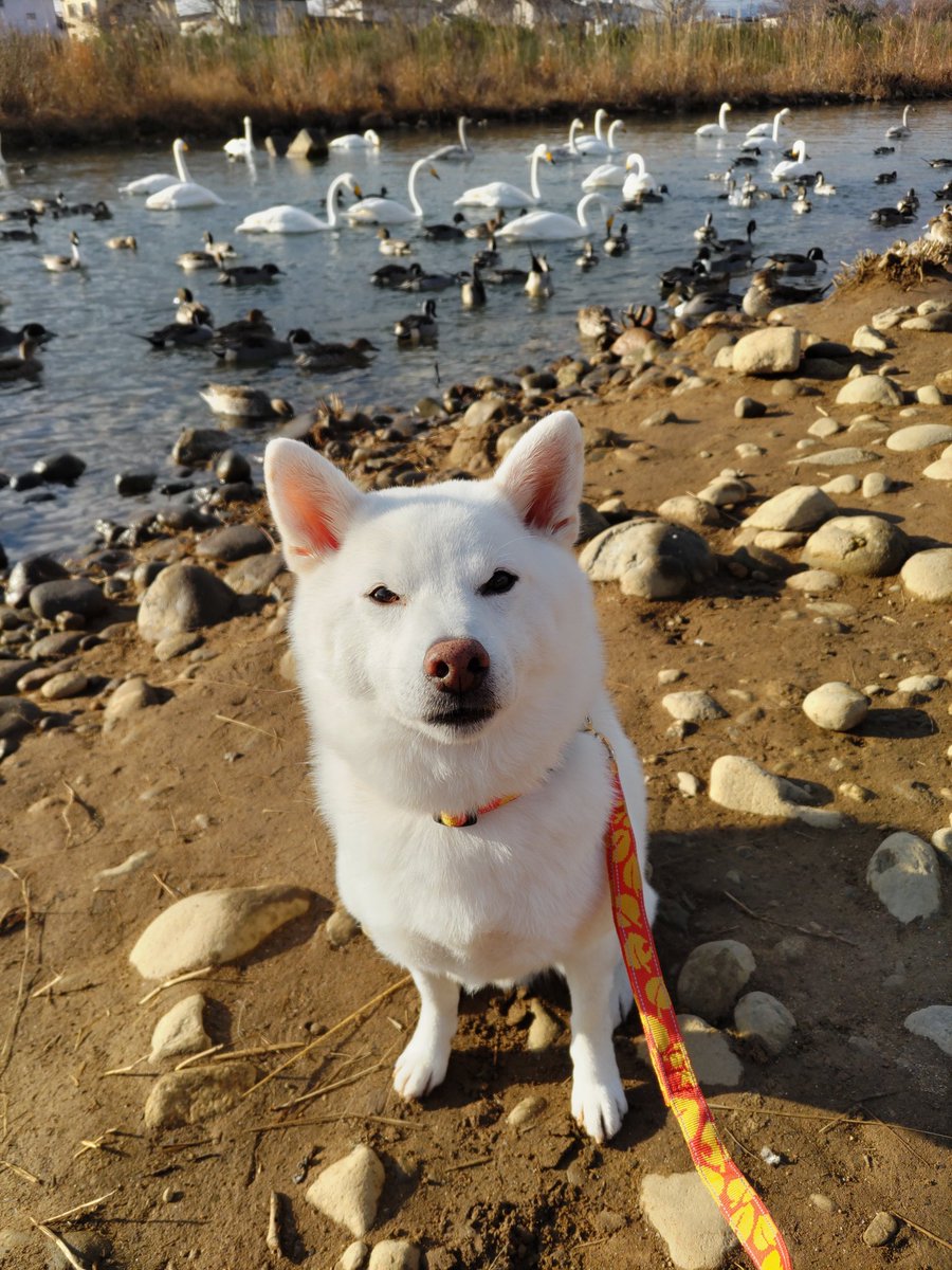 水瓶座♒️ちろ (@xYWsDRmcZE9m1g7) / Posts / X