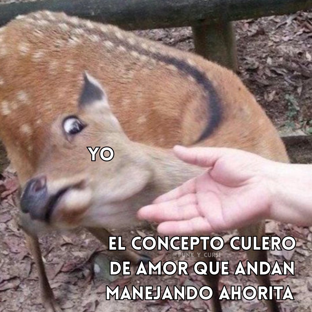 Post by 𝑷𝒖𝒏𝒌 𝒚 𝒄𝒖𝒓𝒔𝒊 on X: 🦌🦌🦌🦌, image size:1080x1080