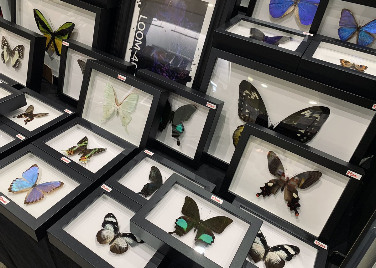 𝒖’𝒍𝒍 tweet media