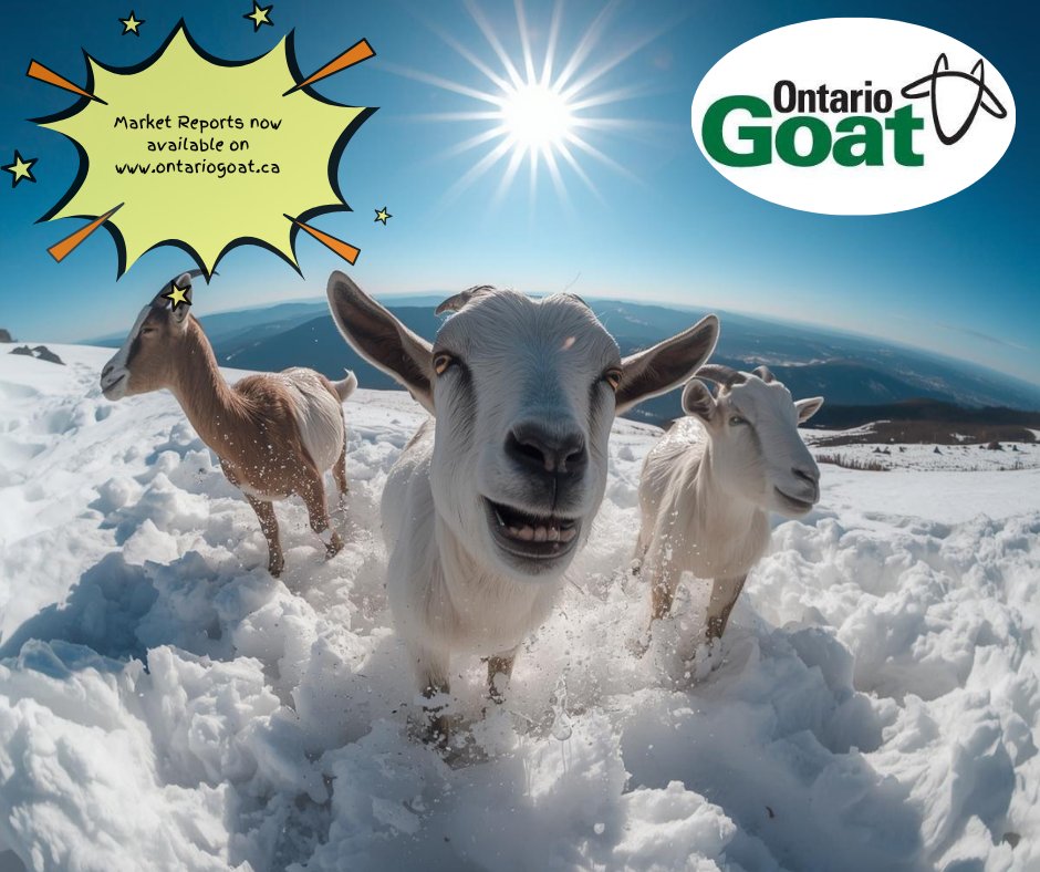 #alymersalesbarn #embrunsalesbarn #brusselssalesbarn #kawarthalakessalesbarn#OSI #olex #Gaylea #ODGC #liquidfeedsinc #ukal #wallensteinfeed&amp;supplyltd #greenoakdairyequipment #b-wfeed&amp;supply #newlifemills #midwestcoop #CFFO#CMGA #CNGF#OFA #trevorjones #johnkelly