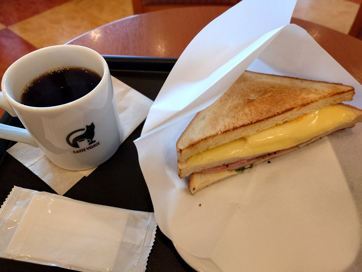 教科書ユニコーン🦄 (@KKS_Unicorn) / Posts / X