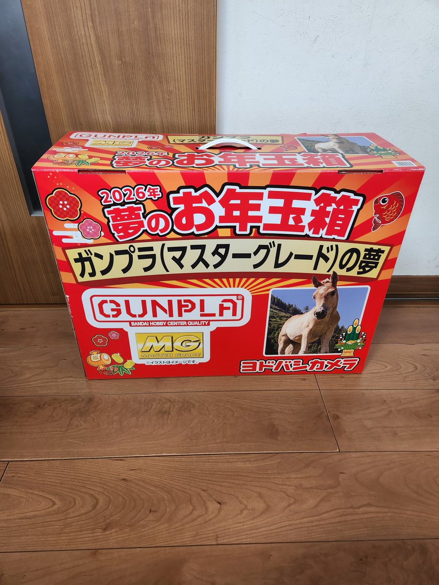 ヨドバシ福袋届いた😄 ガンプラ（マスターグレード）の夢🎊 全部持って