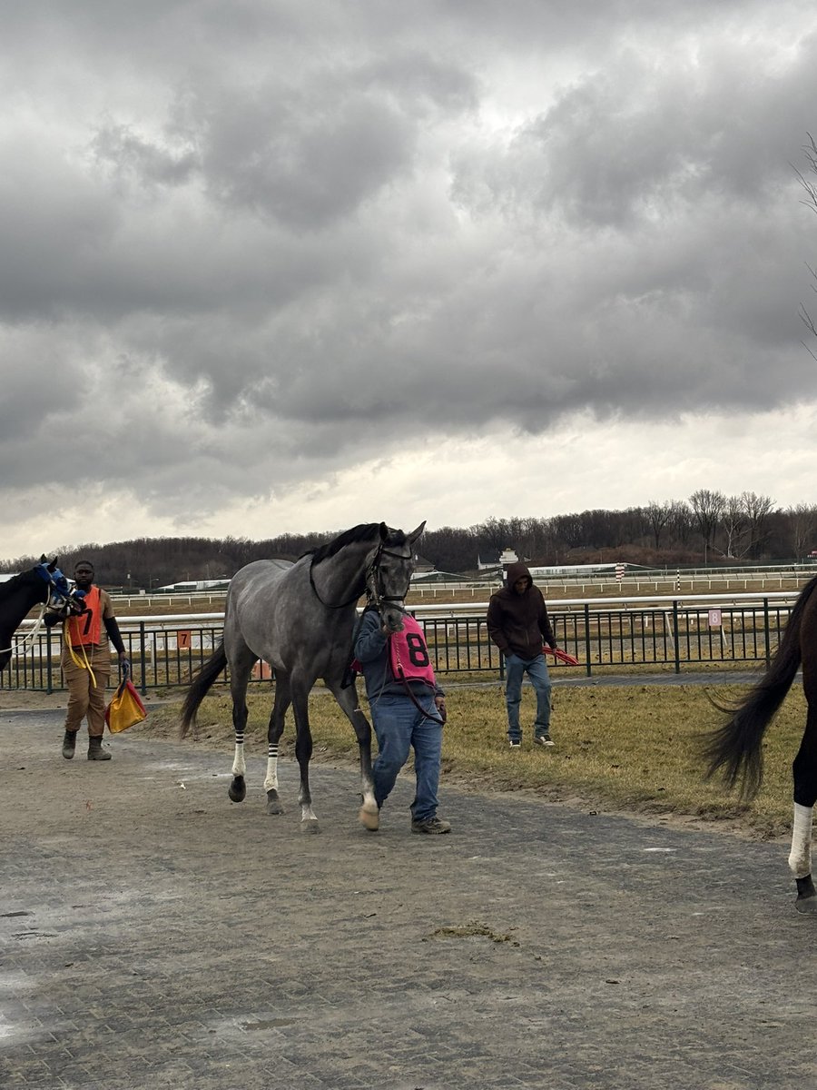 Sammy Roseman tweet media