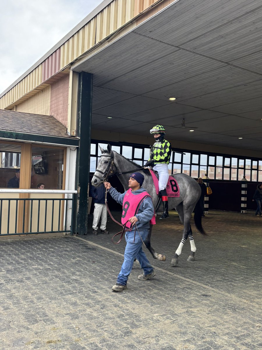 Sammy Roseman tweet media