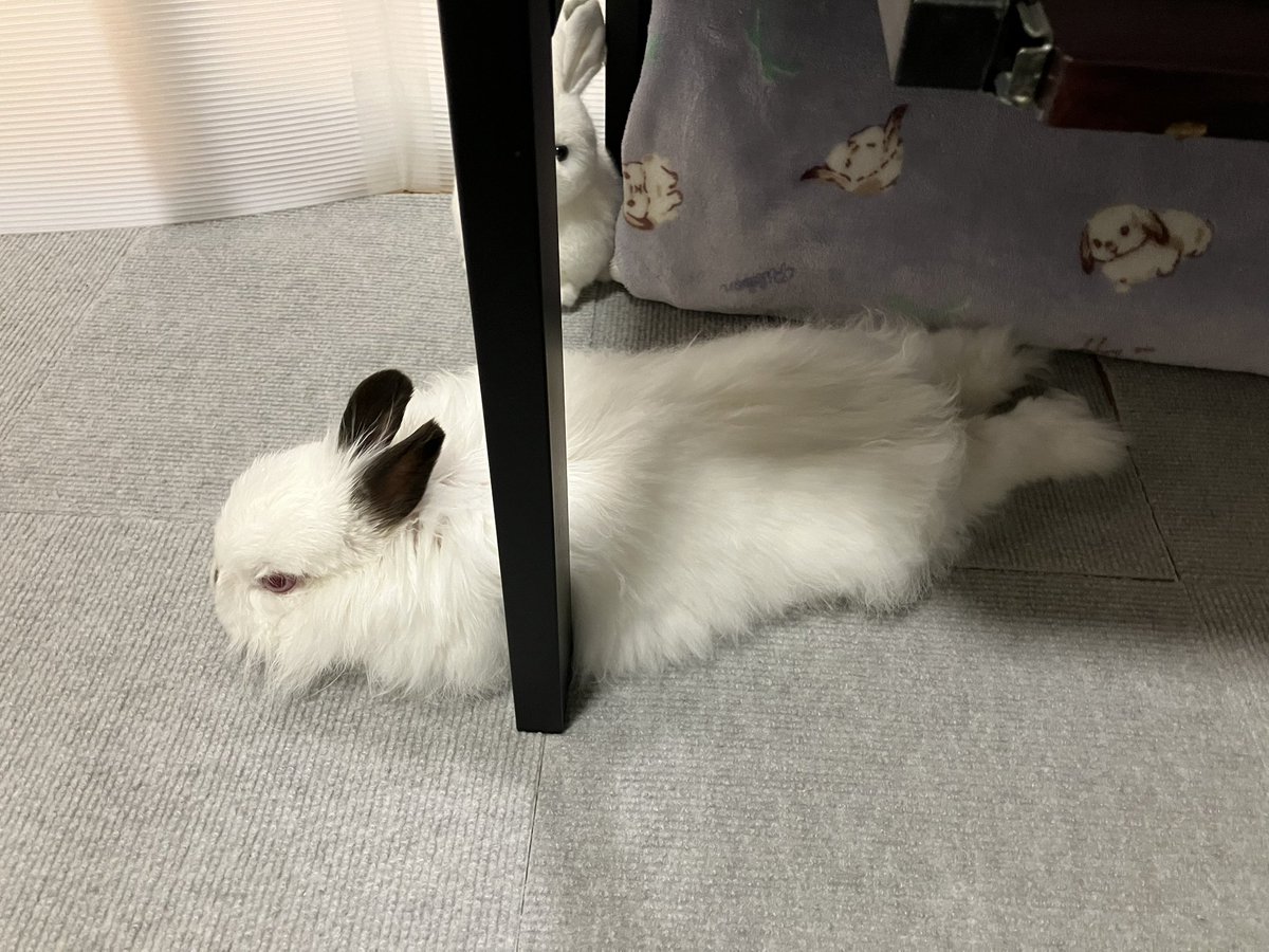 平べったい