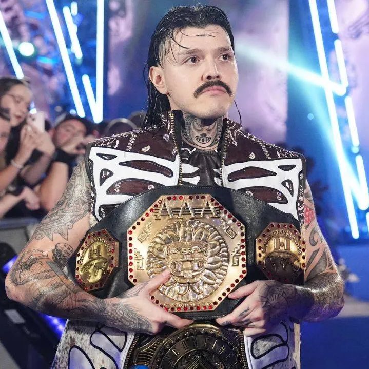 LuigiWrestling tweet media