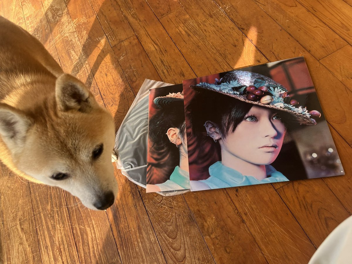 chodo_obc 持っています！ すぐ引っ張りだせた一枚 椎名林檎さんの