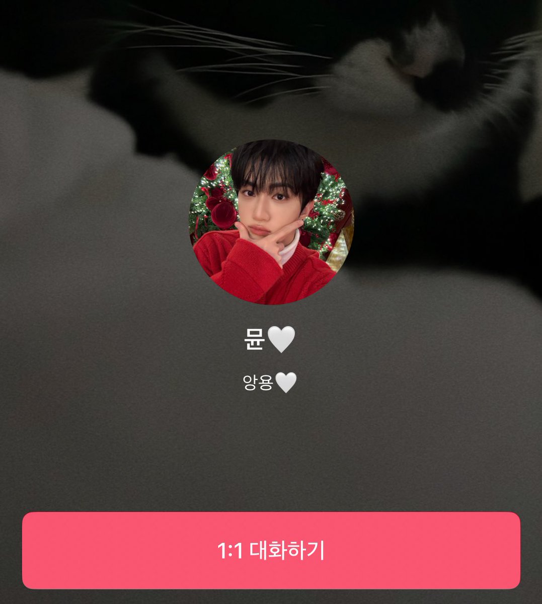 핀이 tweet media