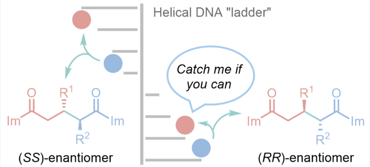 Ruyi Zhu tweet media