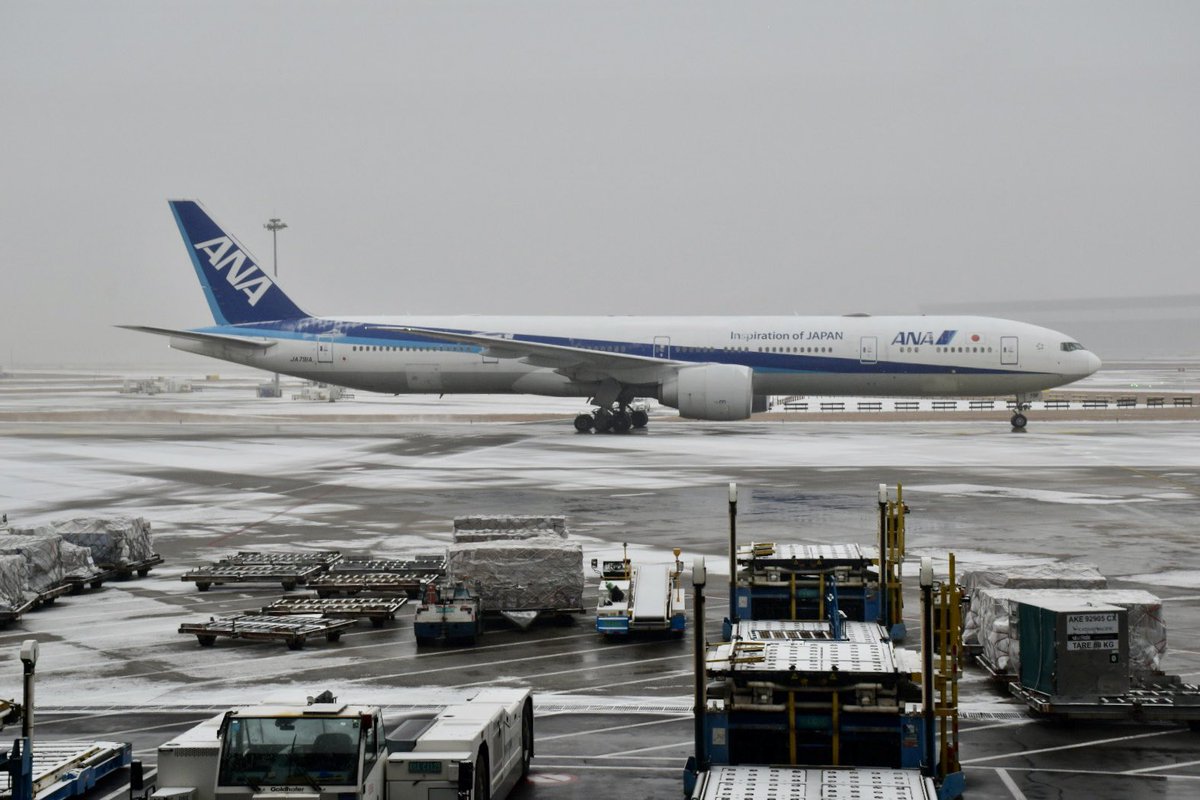 【値下げ依頼者】SQ ANA JA8961 L2021FD 値下げ依頼者】SQ ANA JA8961 L2021FD 値下げ依頼者様専用】SQ ANA