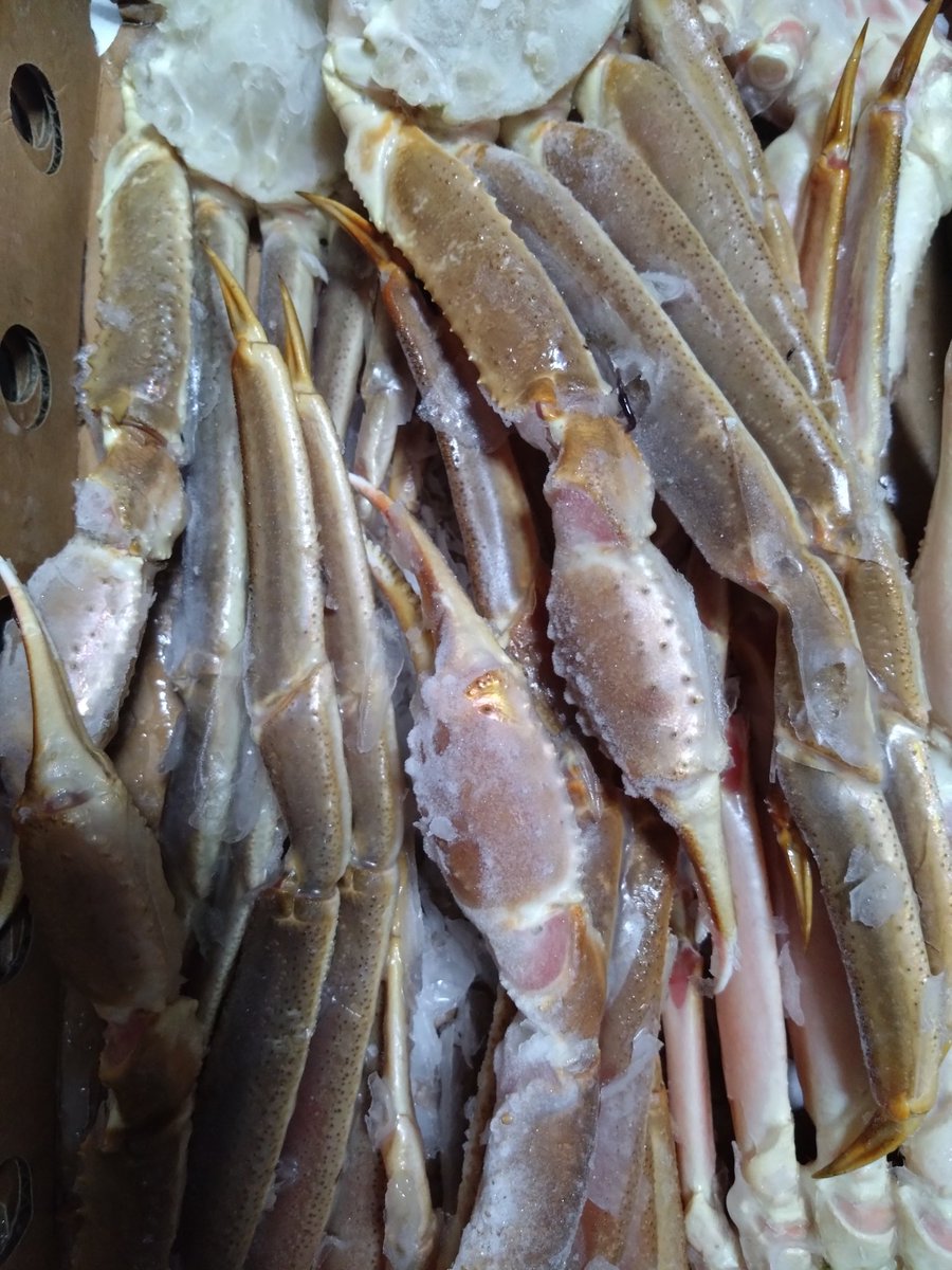 2022_ARTIST_Eri's tweet photo. 今年も宮津港から生ずわいがに🦀お取り寄せ！5L 3キロ刺身でも頂いた！ポーションは生では食べれないからお取り寄せ！めっちゃ美味しかった🤭まだまだある！ https://t.co/MEvhAZv0PZ