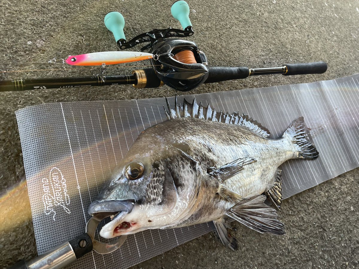 高校生アングラー RYO (@angler_ryo26) / Posts / X