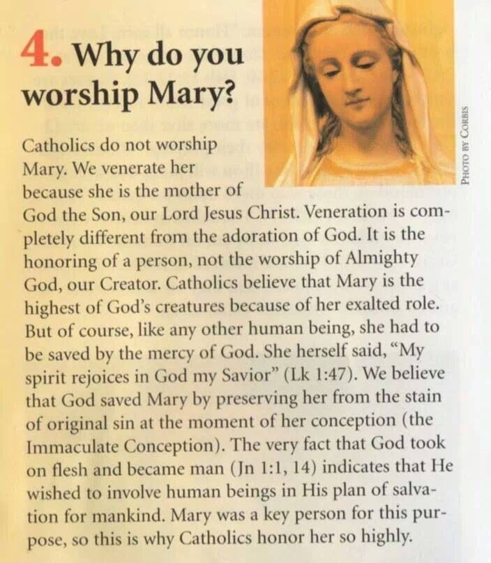 That Catholic Guy 🇻🇦 tweet media