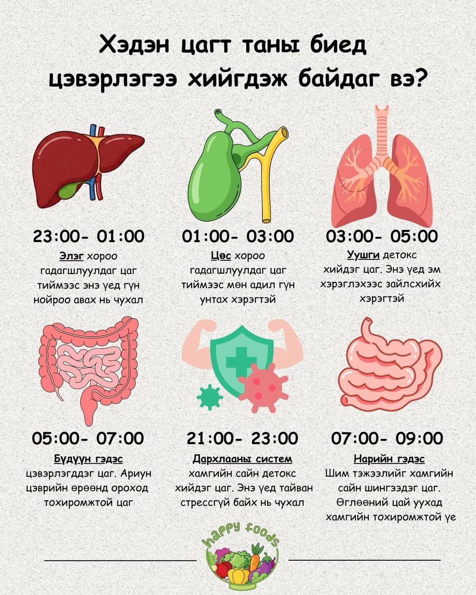 Хүний бие өөрийгөө цэвэрлэдэг нь гайхамшиг 🧠💧

Та мэдэх үү? Хүний бие доторх олон эрхтэн өөрийгөө байнга цэвэрлэж, хамгаалж байдаг ухаалаг системтэй.

🔹 Уушги – Амьсгалын замын салст, сормуус нь тоос, бохирдлыг барьж гадагшлуулна. Ханиалгах, найтаах ч бас цэвэрлэгээний нэг