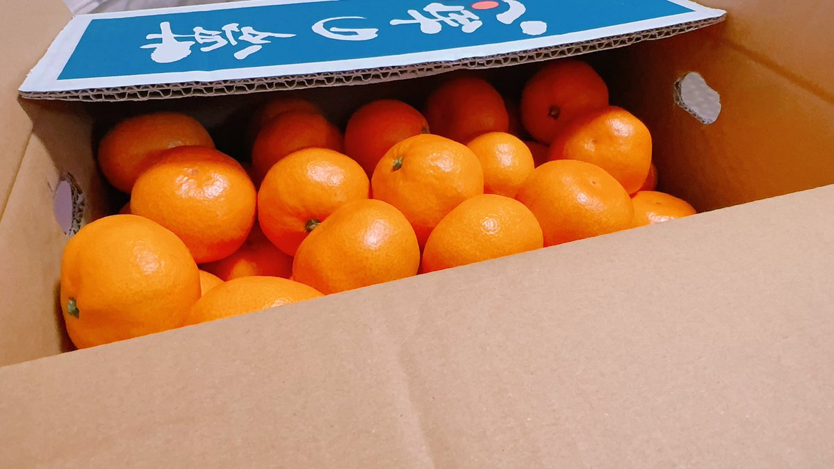 AX__CC's tweet image. 個人的につまつな1弾悔いがあり失くしたり売切だったり…交換していただけるとは思わず😭できたらあともう少し…あと🍊箱買いしました.出勤しない日々の間に5kgくらいすぐ増えそうで.お菓子は🙅‍♀️年末差し入れいただいた中でも,スーパーの袋に沢山詰まったみかんがすごく嬉しかったのでマイ箱買です📦🍊