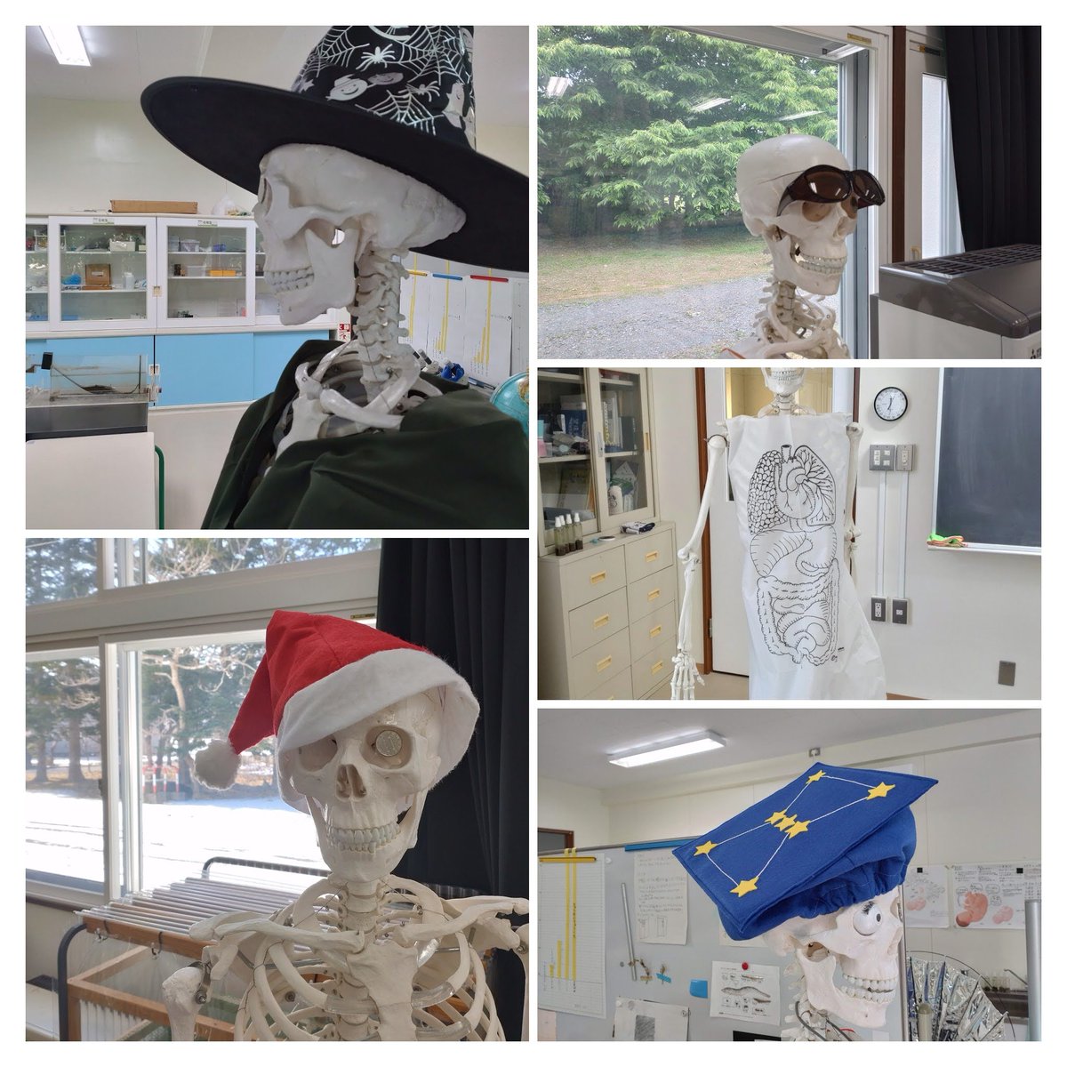 サイティ@日々理科楽し tweet media