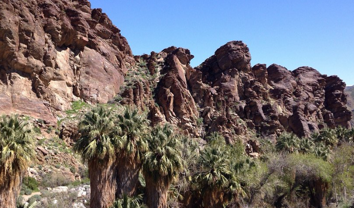 sdtmanager's tweet image. Attention on doit parfois traverser des ruisseaux sur des troncs faut savoir !