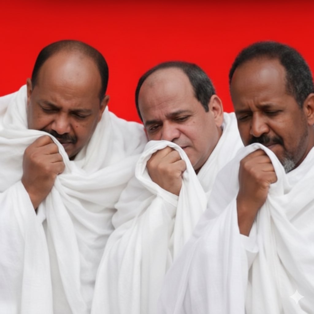 እባካችሁ ጎረቤት ሀገሮች ለቅሶ ድረሱ። 😂😂🤪