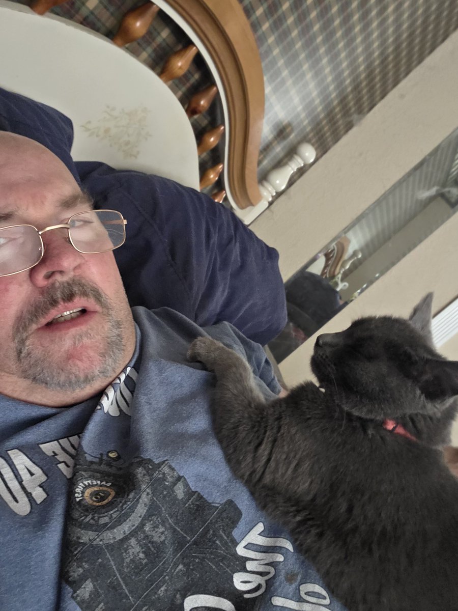 hman81's tweet photo. GREAT NEWS EVERYBODY! I survived this vicious and unprovoked attack by this dangerous Pile Kitten (same as a Mountain Lion only a little smaller) I am recovering nicely from this beat down. It's nothing that a slice of pizza and a Coke won't take care of it. https://t.co/VxfRi6ZCEI