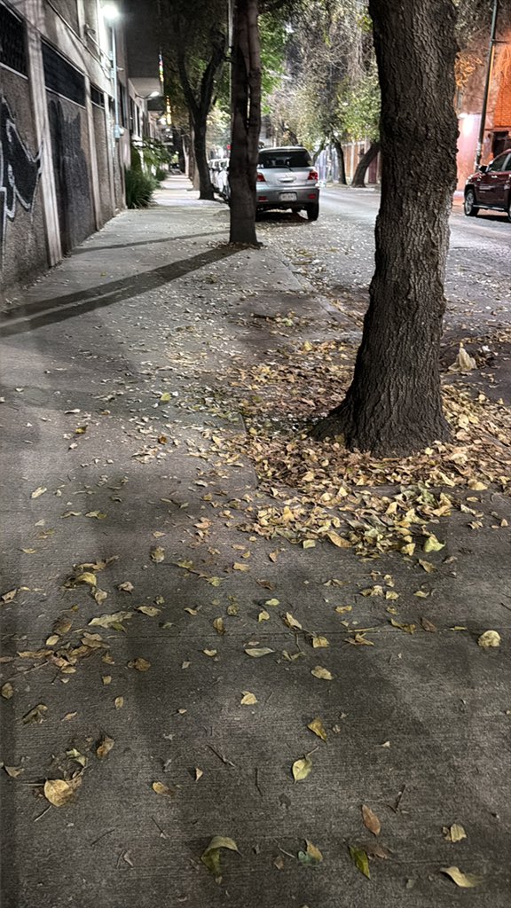 ItandehuiSM's tweet photo. @AccionesBJ @BJAlcaldia Y adivinen… no, no fue la alcaldía… se le pagaron 200 pesos a un camión para q se llevara lo que aquí dejaron… en fin. https://t.co/6NaDGusOOI